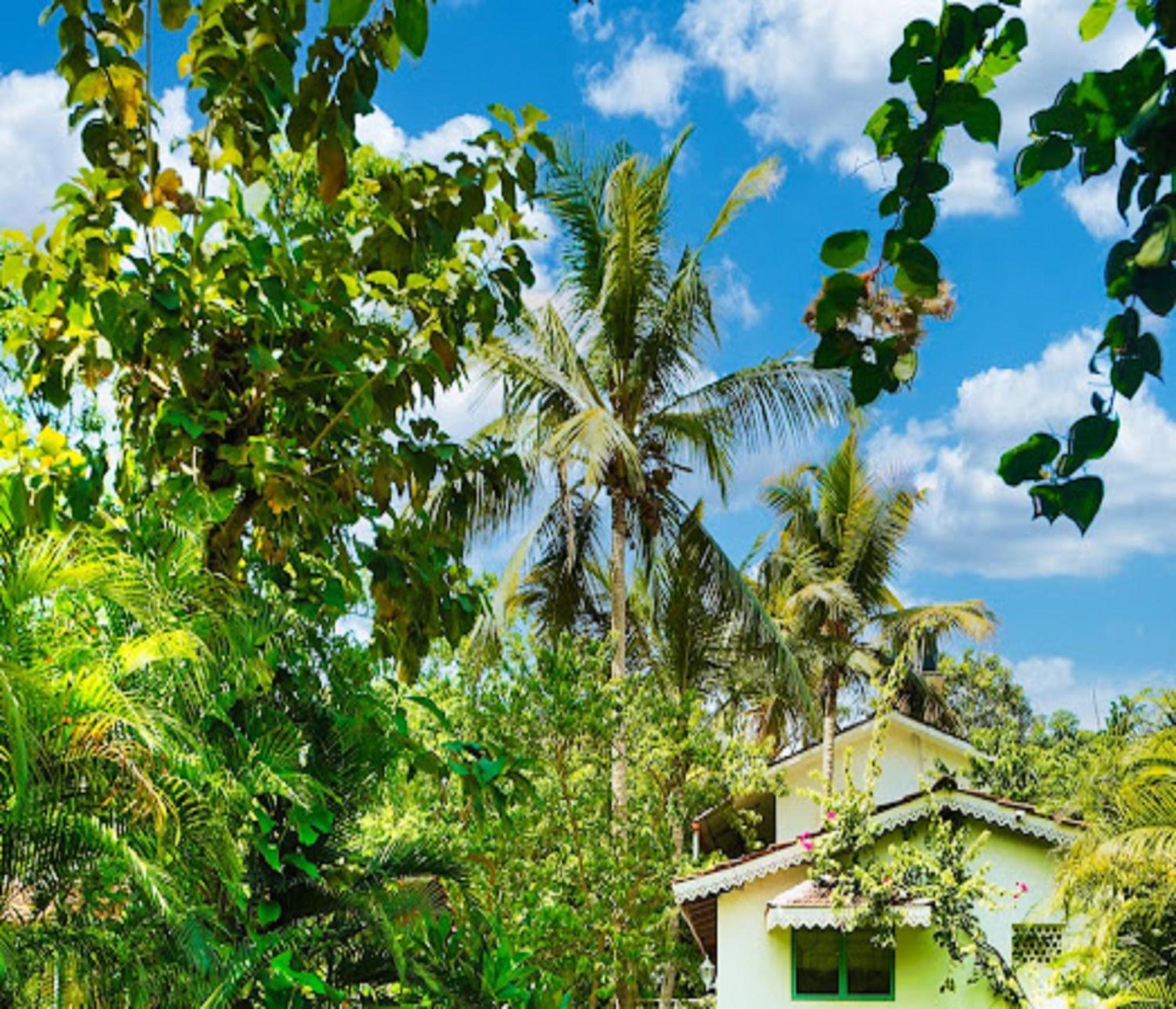 Lar Amorosa Boutique Hotel - Goa Calangute Dış mekan fotoğraf
